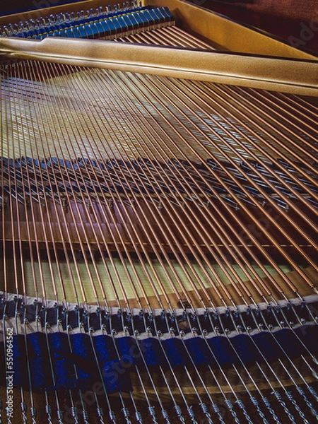 Obraz Strings of a Baby Grand Piano