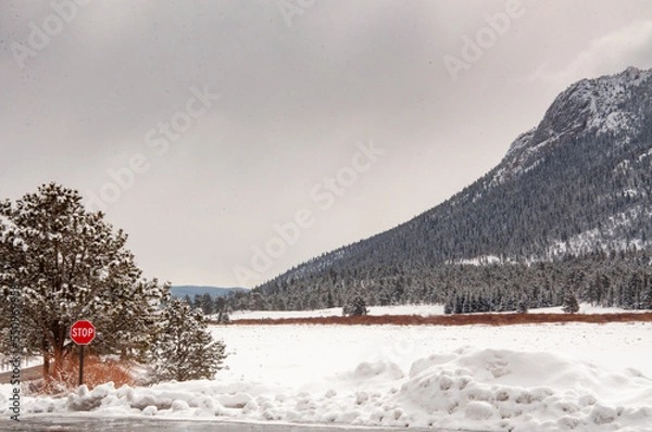 Fototapeta Snowy Rocky Mountain National Park, Colorado in the Winter