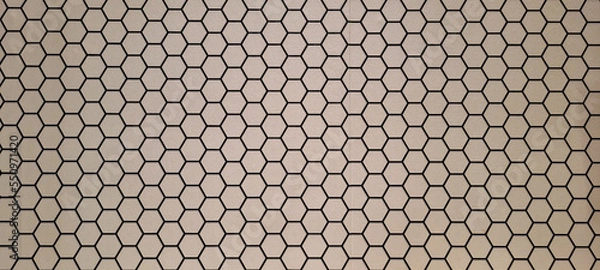 Fototapeta checkered white background with black lines
