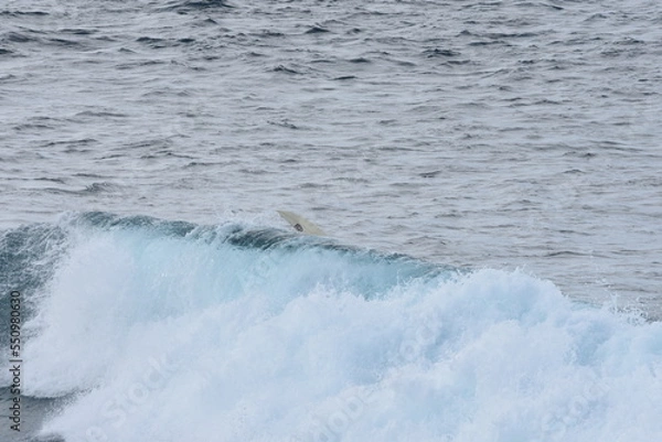 Obraz Surfing
