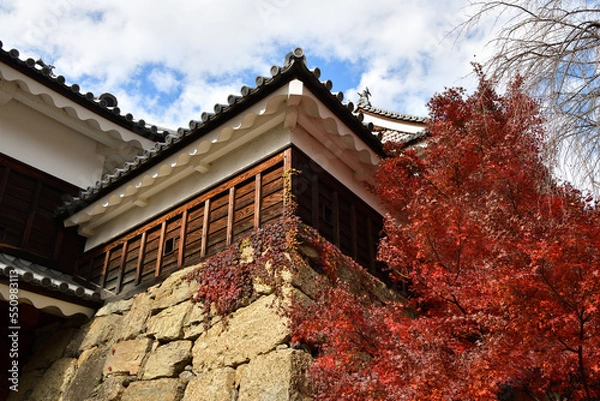 Fototapeta 信州上田城の紅葉
