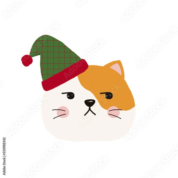 Obraz Cat in Christmas