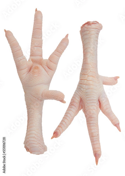 Obraz Raw chicken feet