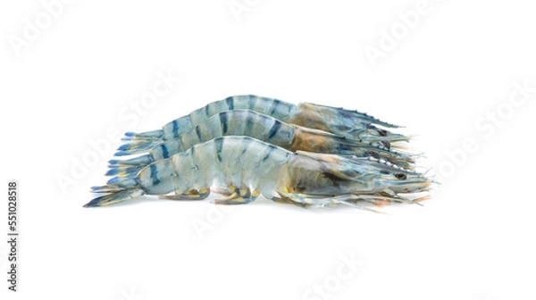 Obraz Fresh shrimp, isolated on white background