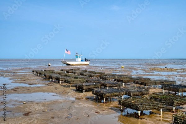Obraz Oyster cages along a tidal flat