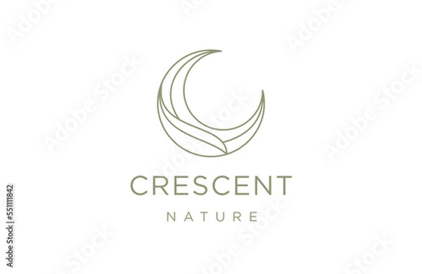 Obraz Crescent moon leaf logo design template flat vector