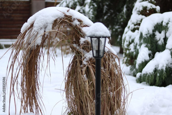 Obraz icicles on the roof