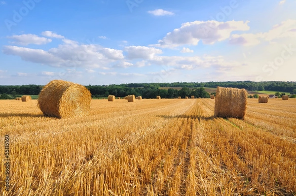 Fototapeta ballots de paille