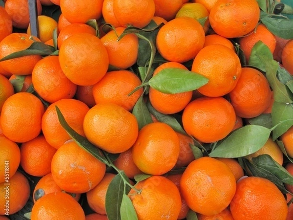 Obraz Clementine Orange