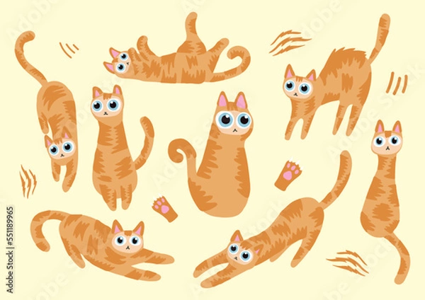 Obraz handraw cute cat vector set