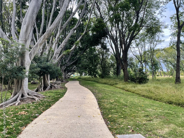 Obraz path in the park