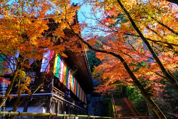 Obraz 京都・永観堂