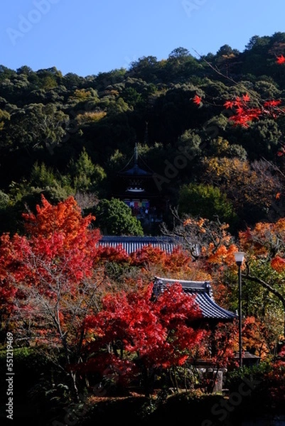 Fototapeta 京都・永観堂