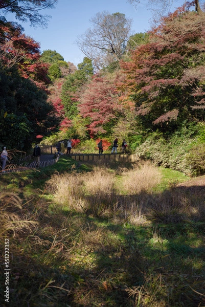 Obraz 明治神宮で見える風景