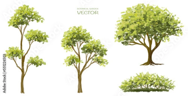 Fototapeta Vector watercolor blooming flower,tree or forest side view isolated on white background for landscape and architecture drawing,elements for environment and garden,botanical for section in spring