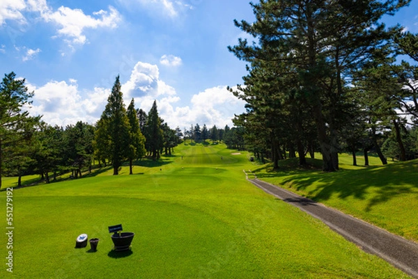 Obraz 青空のゴルフ場・まっすぐに伸びた直線ロングコースとティーイングエリア（千葉県木更津市）