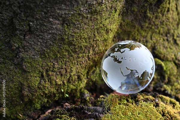 Fototapeta ガラスの地球儀と苔むした樹木　SDGs 環境保護などのイメージ glass globe and  a tree covered with lichen