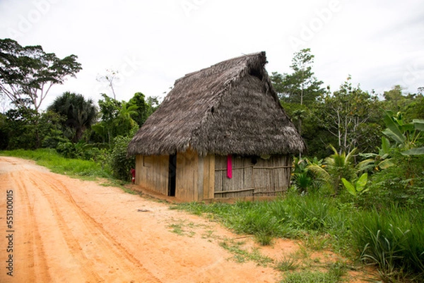 Fototapeta Views from the streets and houses in a town in the Amazonian region in Peru close to Yurimaguas City.