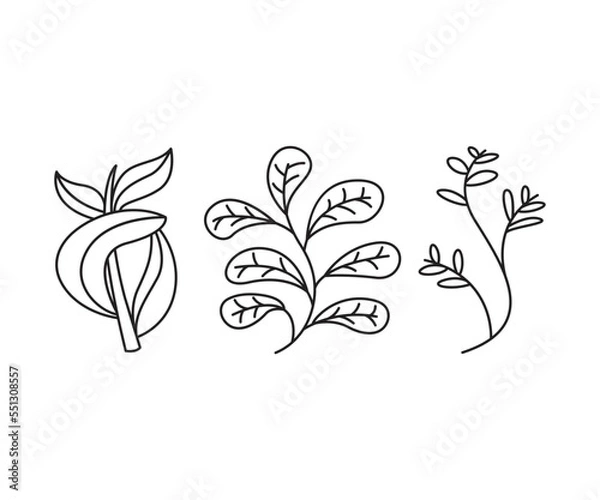 Fototapeta leaves icons set vector line illustration