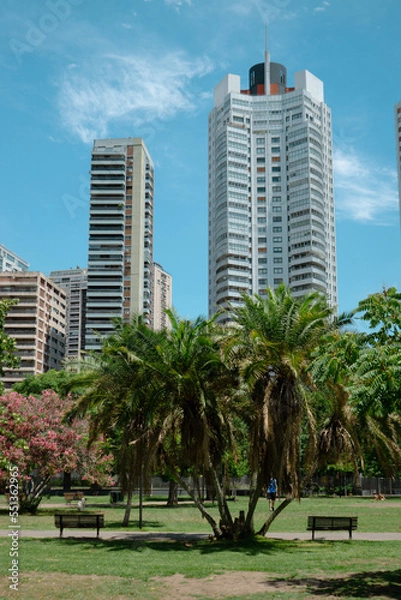 Fototapeta large buildings against the backdrop of nature and parks