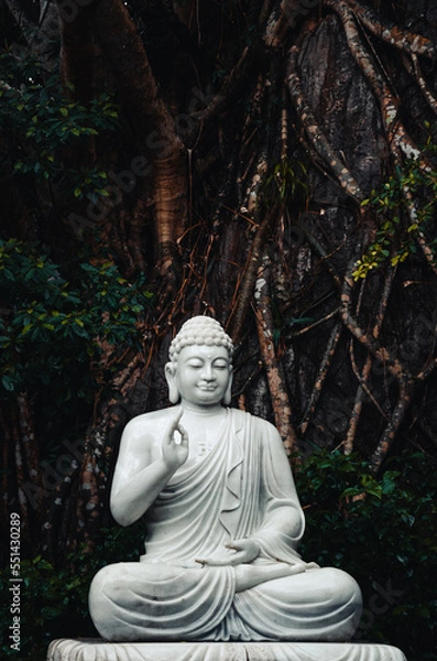 Fototapeta Buddha statue