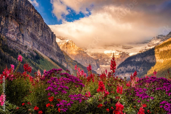 Obraz Flowers garden at Lake Louise at Canada's Banff National Park