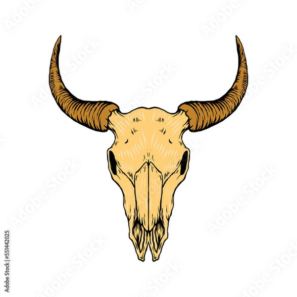 Obraz bull head skull vector illustration