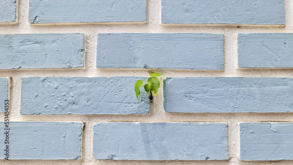 Obraz Leaves sprouting from the ground