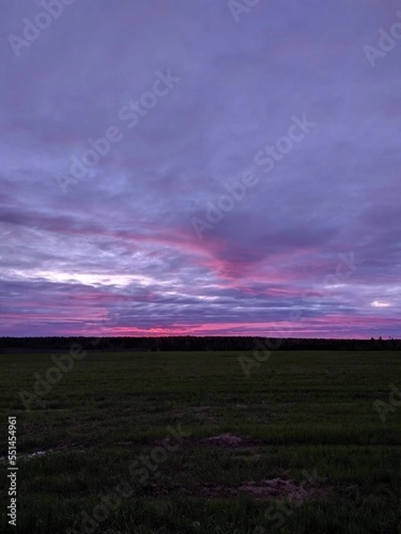 Obraz sunset over the field