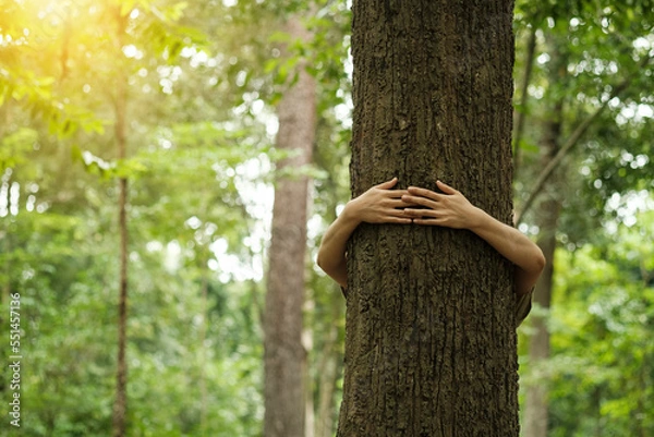 Obraz Environment and respect for Earth nature concept - adult woman hugging a green tree in the forest - save the planet and climate change - defocused background wih nature