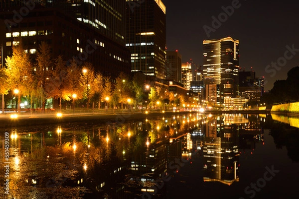 Fototapeta 東京夜景
