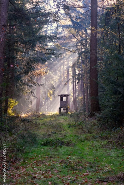 Obraz Wald im Nebel mit Ansitz