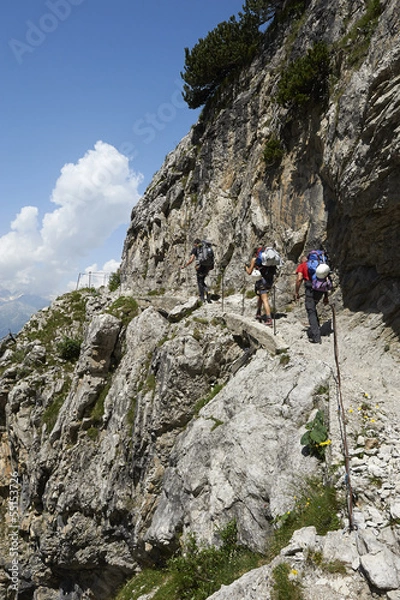 Obraz casinei brentei