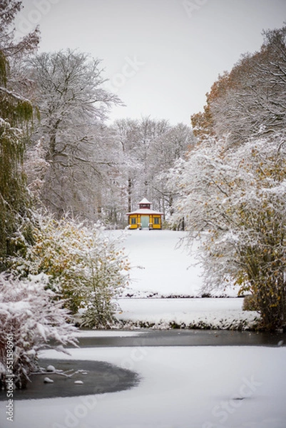 Obraz snow covered trees in winter
