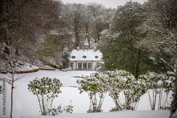 Obraz snow covered trees in winter