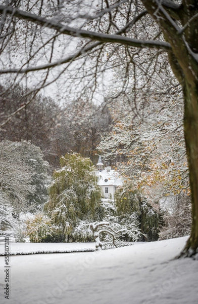 Obraz snow covered trees in winter