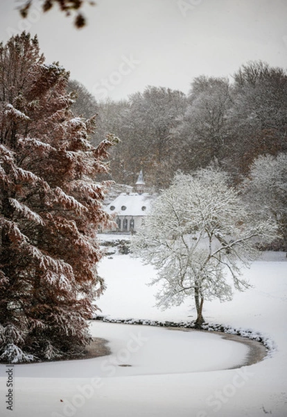 Obraz snow covered trees in winter