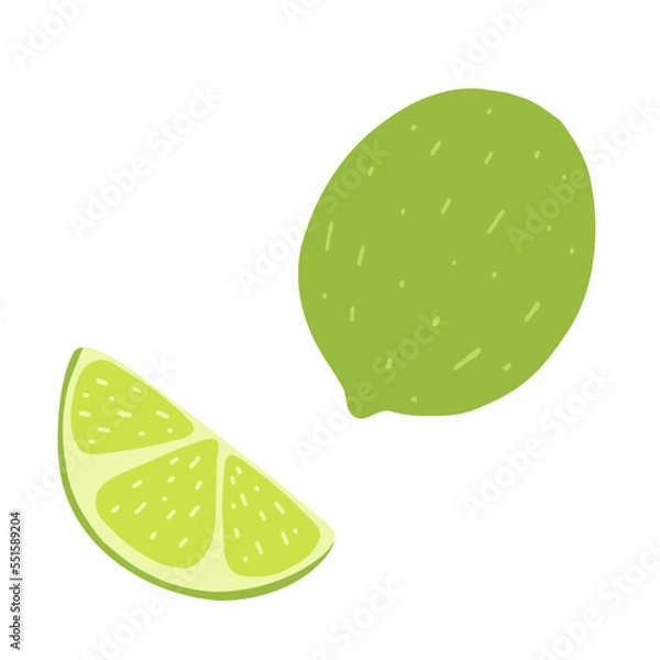 Fototapeta Whole and slice lime in cartoon flat style. Hand drawn vector illustration of green lemon, fresh healty food, citrus fruit icon