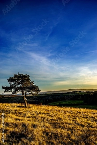 Obraz sunset on the beach