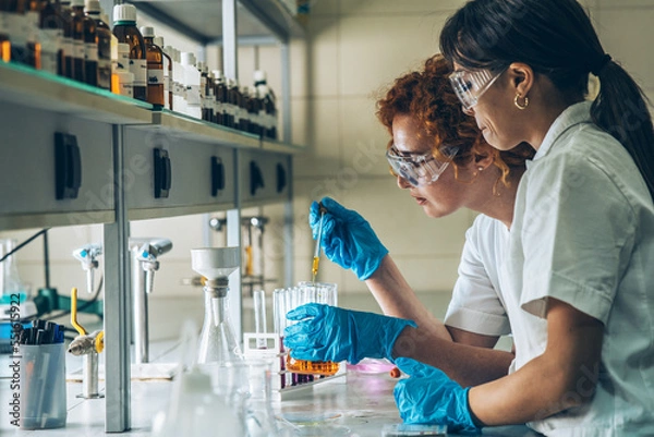 Obraz Two female chemistry scientists doing experiments in the lab.	