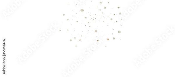 Obraz The winter background, falling snowflakes