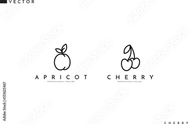 Fototapeta Fruit with leaves outline style. Apricot and cherry logo