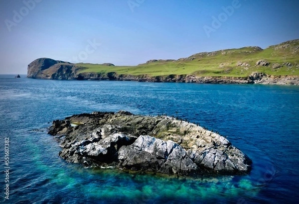 Fototapeta Flock of birds on sunbathing on a rock on the coast of Inishbofin, in the summertime. Connemara, Galway, Ireland