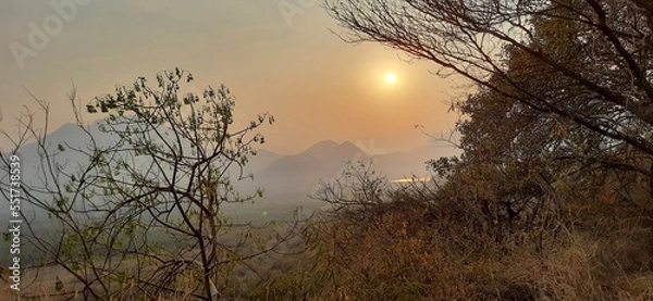 Obraz sunset in the forest