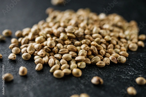 Obraz natural hemp seed on black stone background