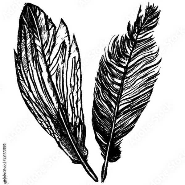 Obraz Two Feathers flying together