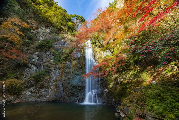 Fototapeta 箕面の滝