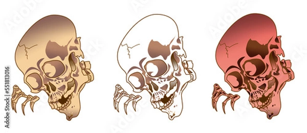 Obraz ガイコツ,シャレコウベ,滝夜叉姫