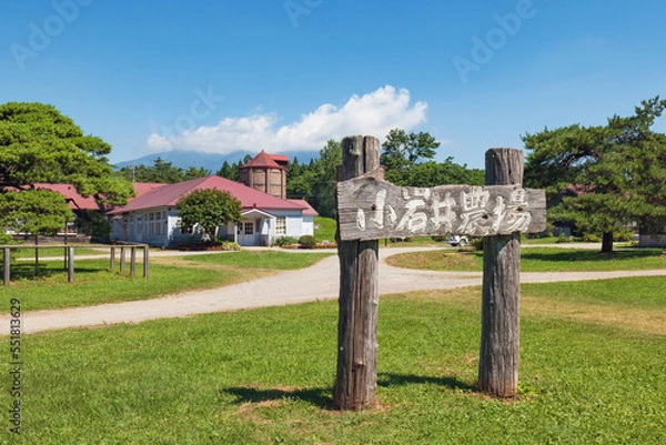 Obraz 岩手 小岩井農場の夏景色