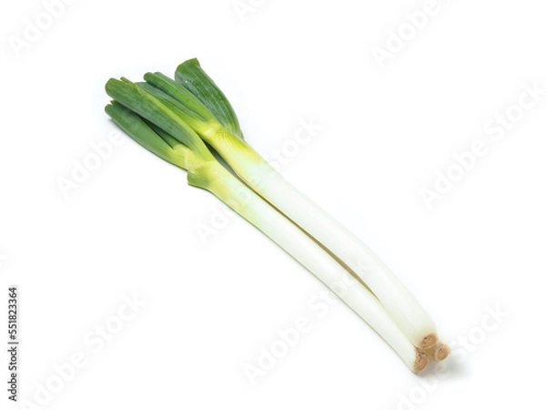 Fototapeta 長ネギ